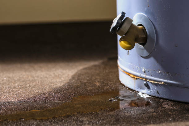 Best 24-hour water damage restoration  in Richmond, MN
