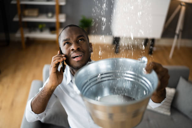Best Sewage cleanup and water damage restoration  in Richmond, MN