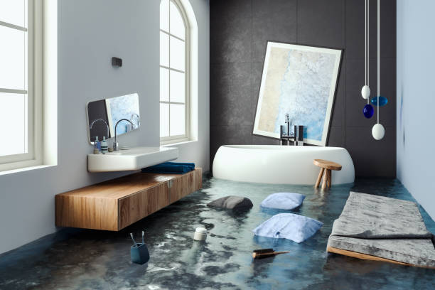  Richmond, MN Water damage restoration Pros