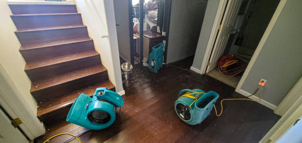 Best Residential water damage restoration  in Richmond, MN