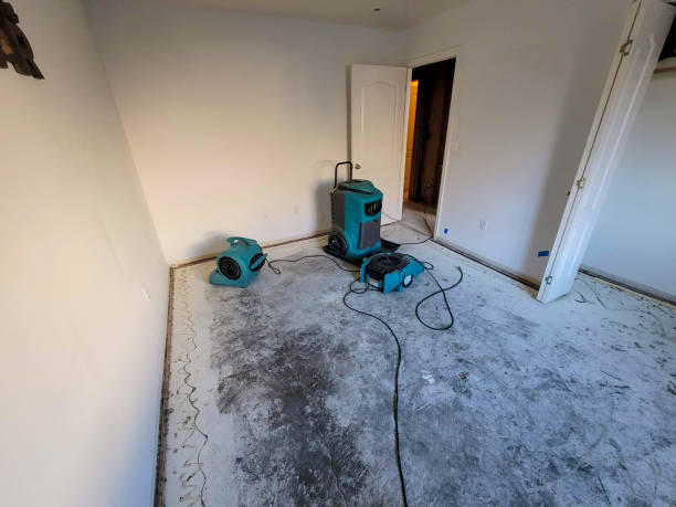 Best Carpet water damage restoration  in Richmond, MN