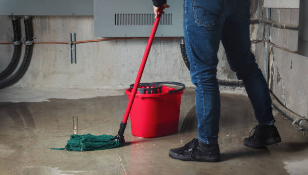 Best Water damage restoration near me  in Richmond, MN