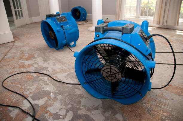 Best 24/7 water damage repair  in Richmond, MN