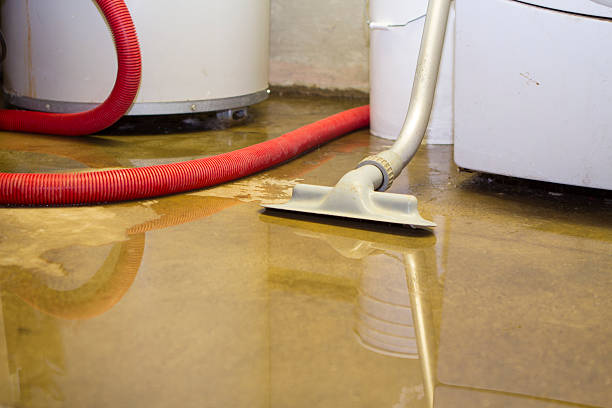 Water damage restoration mold remediation in MN
