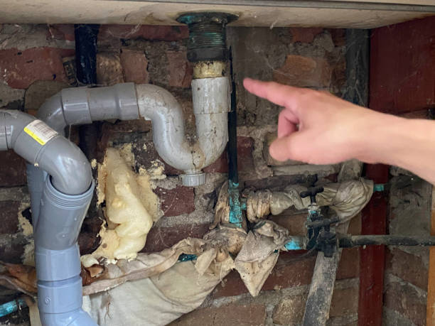 Best Water damage cleanup near me  in Richmond, MN