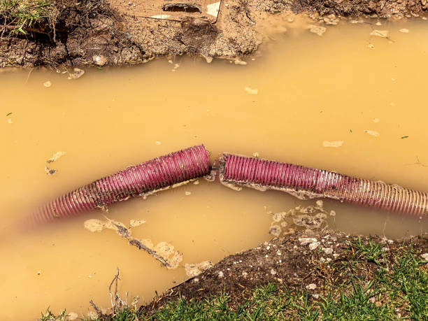 Best Sewage cleanup and water damage restoration  in Richmond, MN