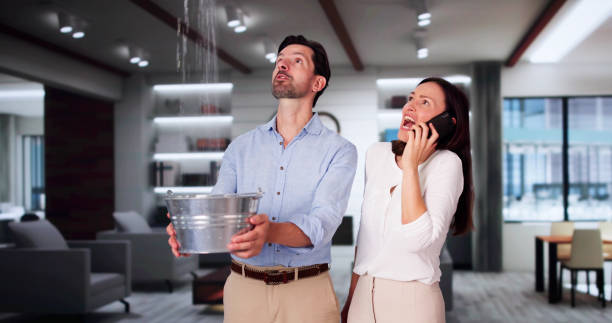 Best Commercial water damage restoration  in Richmond, MN